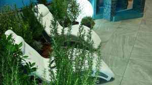 FOTO16