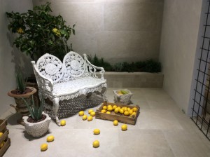 FOTO 15