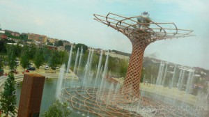 41ALBERO DELLA VITA_1