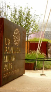 45UK PAVILION_1