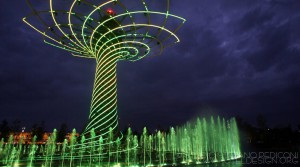 27_ALBERO DELLA VITA 