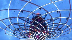 56_ALBERO DELLA VITA  